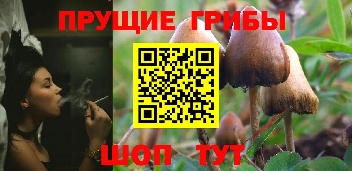 Псилоцибиновые грибы MAGIC MUSHROOMS  Псилоцибиновые грибы Psilocybine cubensis  Пенза  Вход с VPN 